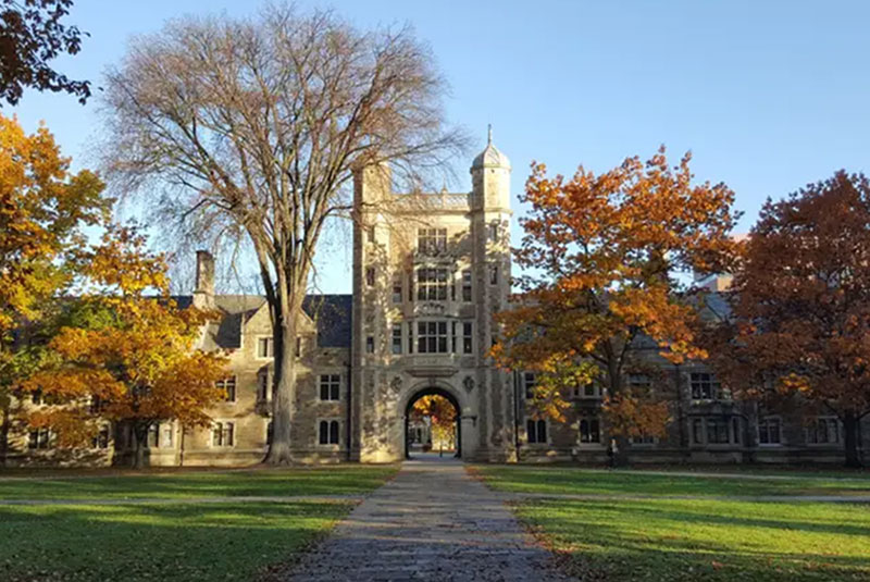 People exploring university career opportunities