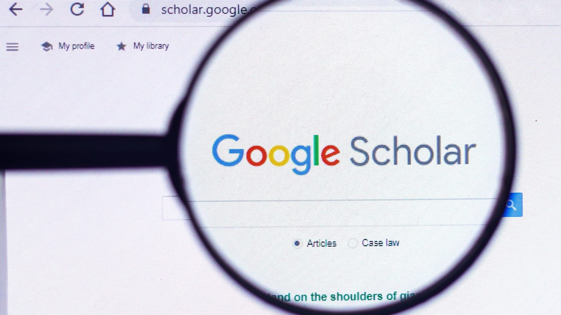 Google Scholar search interface